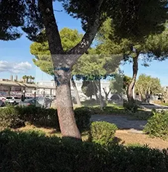 Foto annuncio 26