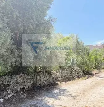 Foto annuncio 8