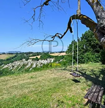 Foto annuncio 17