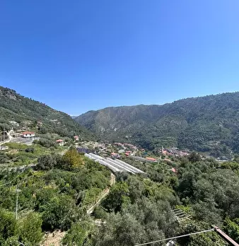 Foto annuncio 4