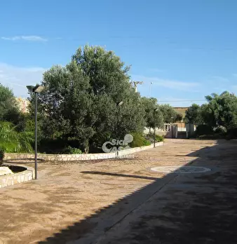 Foto annuncio 54