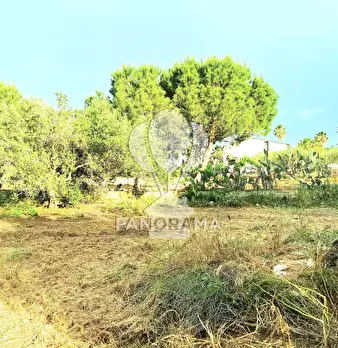 Foto annuncio 17