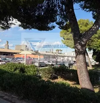 Foto annuncio 27