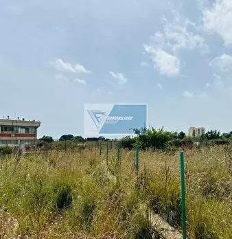 Foto annuncio 6