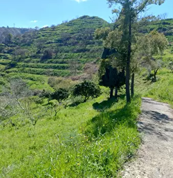 Foto annuncio 3