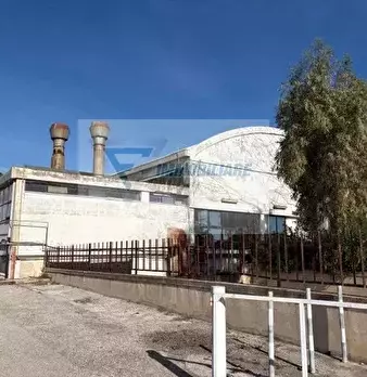 Foto annuncio 4