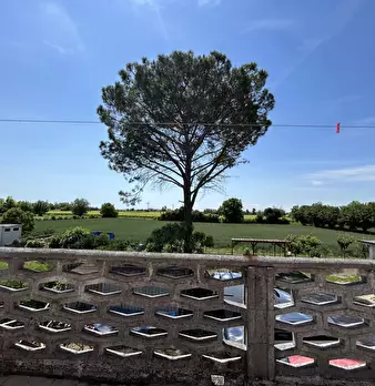 Foto annuncio 32