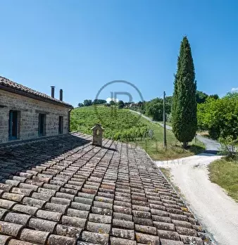Foto annuncio 23