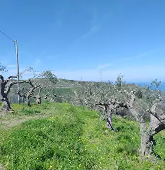 Foto annuncio 18