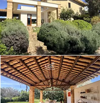 Foto annuncio 11