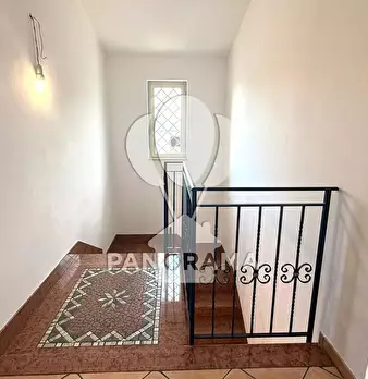 Foto annuncio 20