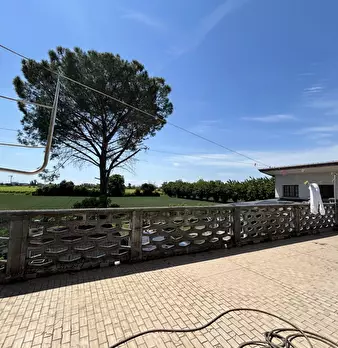 Foto annuncio 35