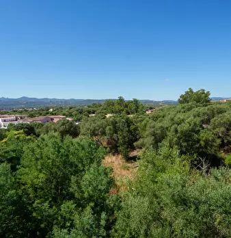 Foto annuncio 32