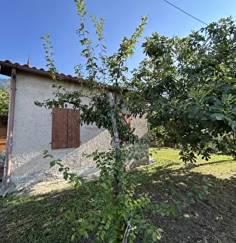 Foto annuncio 46