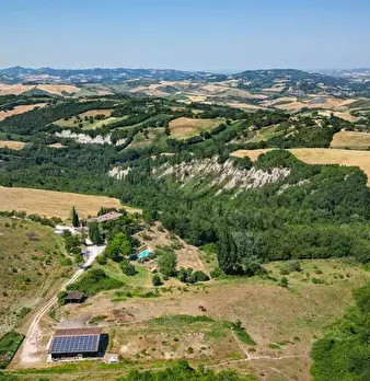Foto annuncio 10