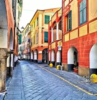Foto annuncio 10