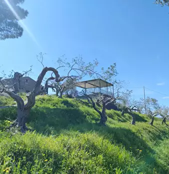Foto annuncio 12