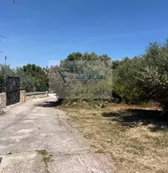 Foto annuncio 4
