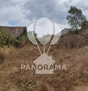Foto annuncio 14