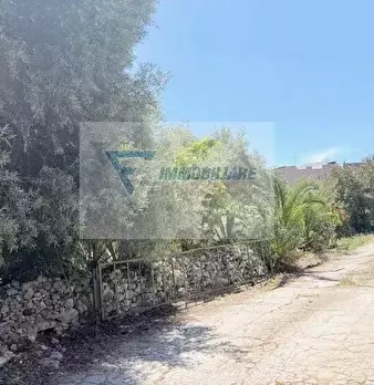 Foto annuncio 9