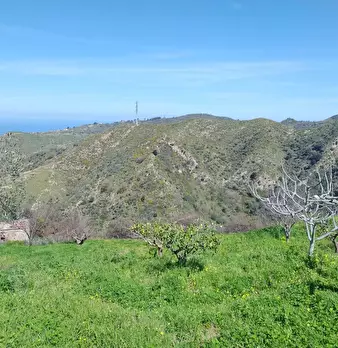 Foto annuncio 19