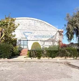 Foto annuncio 6