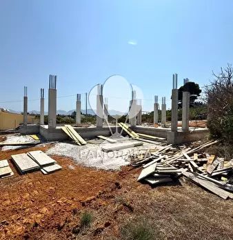 Foto annuncio 19