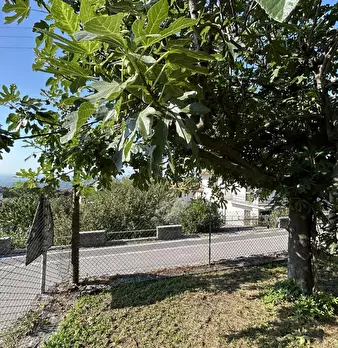 Foto annuncio 48