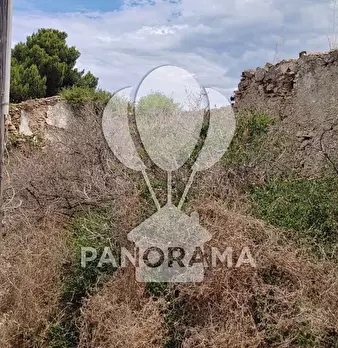 Foto annuncio 13