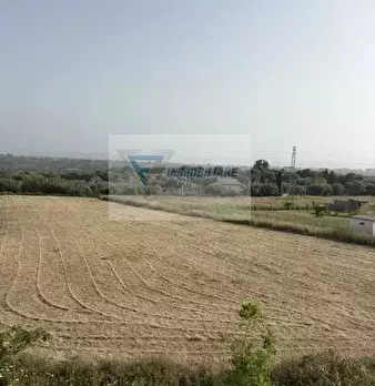 Foto annuncio 19