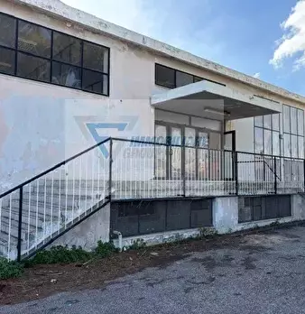 Foto annuncio 11