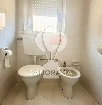 Foto annuncio 14