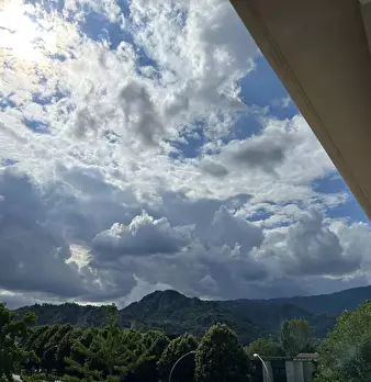 Foto annuncio 34