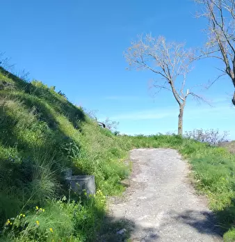 Foto annuncio 6