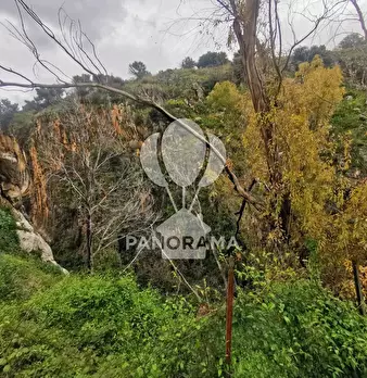 Foto annuncio 43