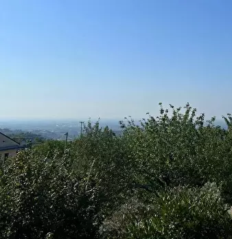 Foto annuncio 47