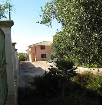 Foto annuncio 66