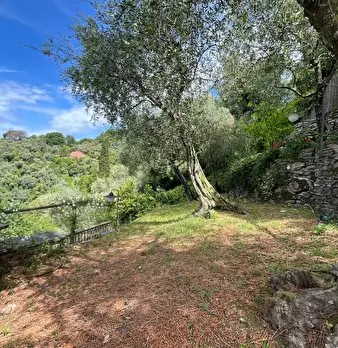 Foto annuncio 25