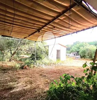 Foto annuncio 10