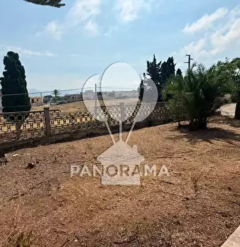 Foto annuncio 43