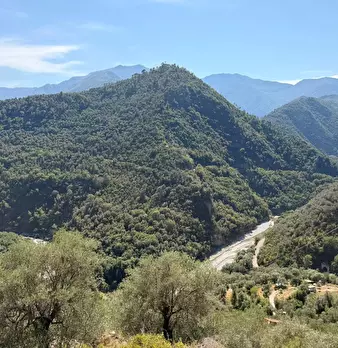 Foto annuncio 10
