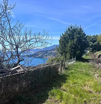 Foto annuncio 4