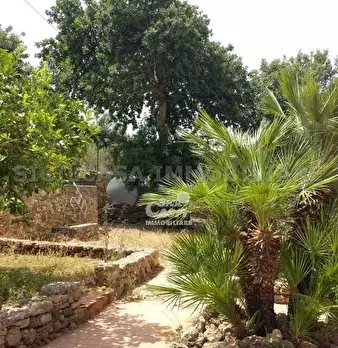 Foto annuncio 2