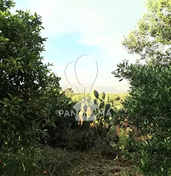 Foto annuncio 22