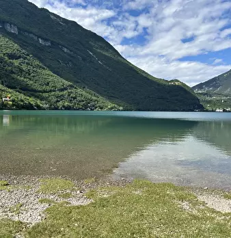 Foto annuncio 53