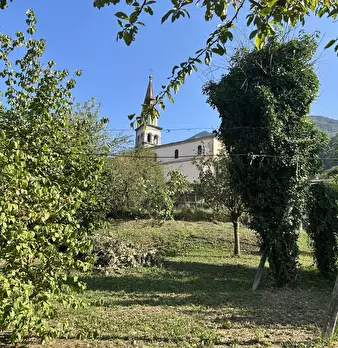 Foto annuncio 52
