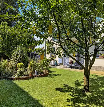 Foto annuncio 1
