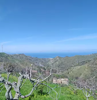 Foto annuncio 17
