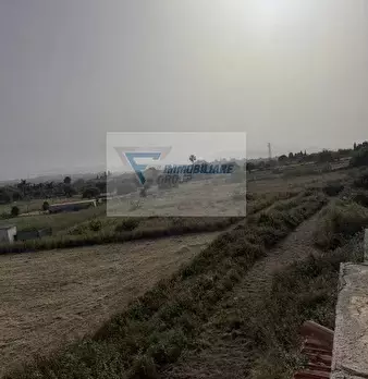 Foto annuncio 27