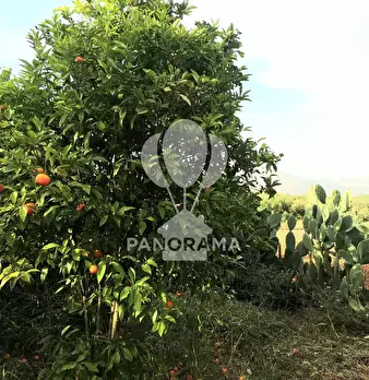 Foto annuncio 23